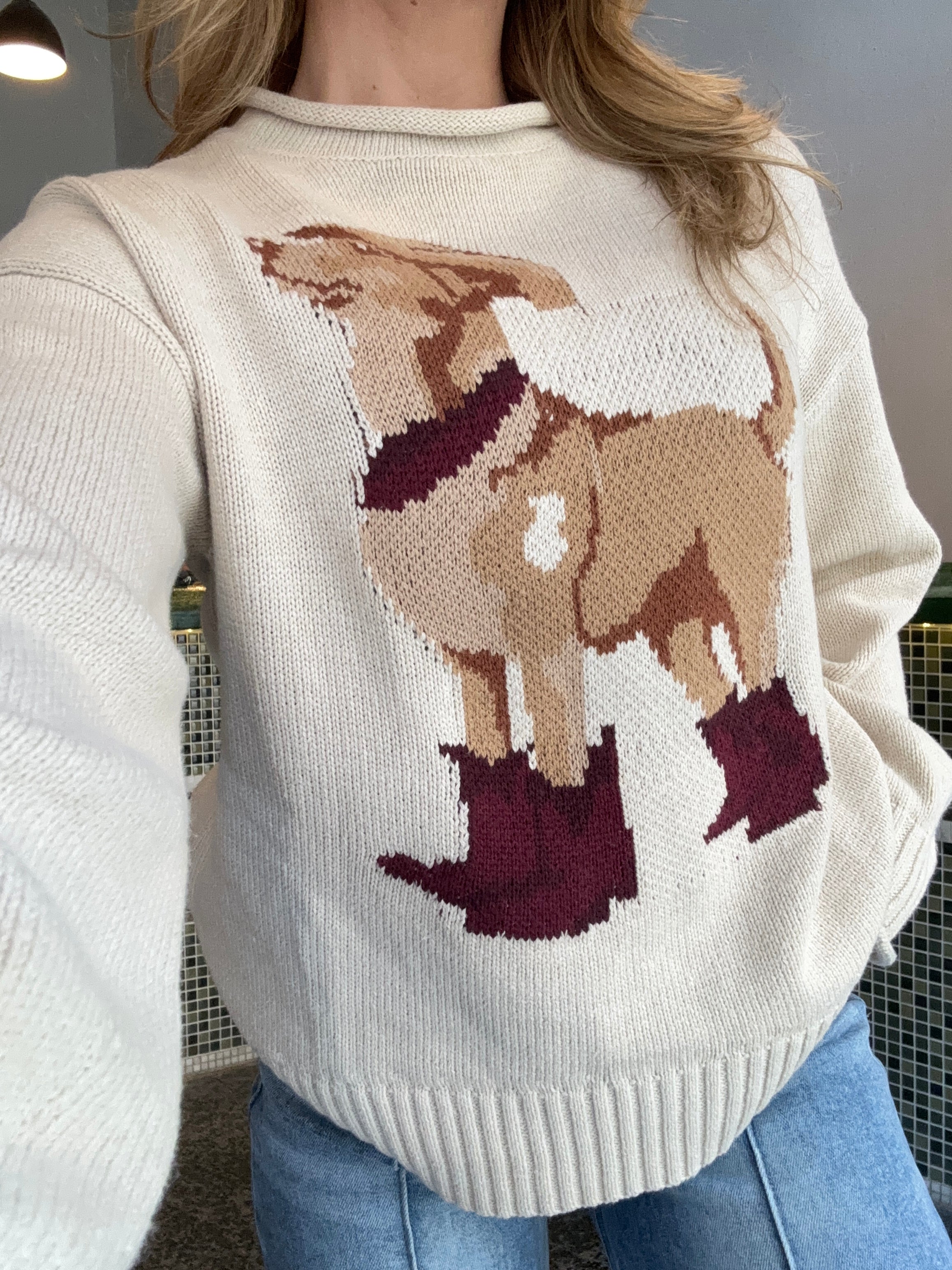Western Dog Sweater